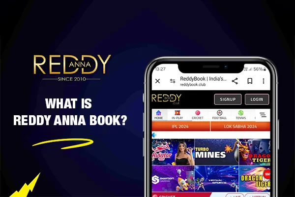 What-is-Reddy-Anna-Book-aa